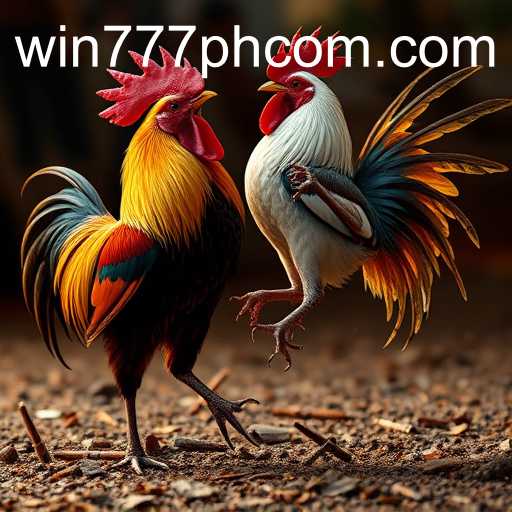 Discovering the Intricacies of Sabong Games with Win777PH